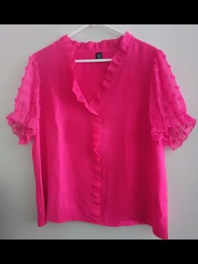 SHEIN Hot Pink Ruffle V-Neck Blouse